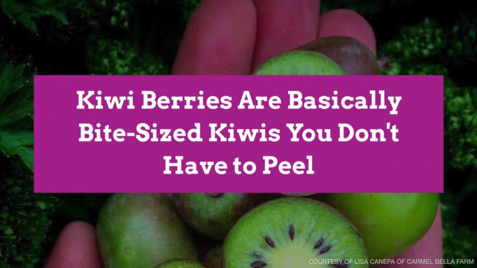 Kiwi Berries Are Basically Bite-Sized Kiwis You Don't Have to Peel