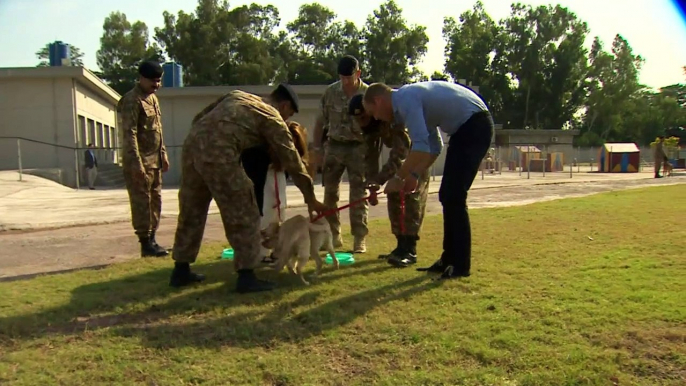 Duke and Duchess of Cambridge meet puppies in Pakistan