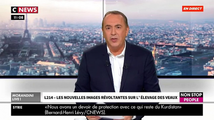 l'association L214 dévoile des images d'élevages intensifs de veaux laitiers