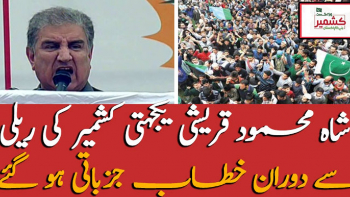 Foreign minister of Pakistan Shah Mehmood Qureshi addresses ceremony