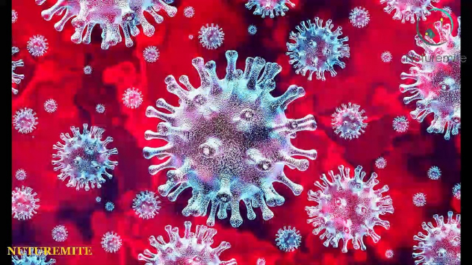 Afraid of the coronavirus what you can do to protect yourself- Nuturemite English