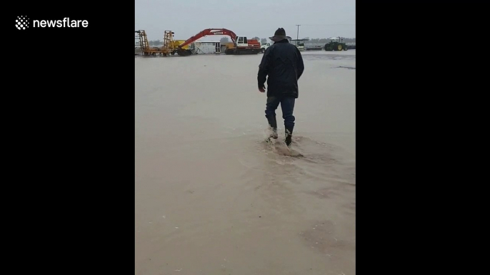 Australian farmer rejoices after heavy rainfall amid record-breaking drought