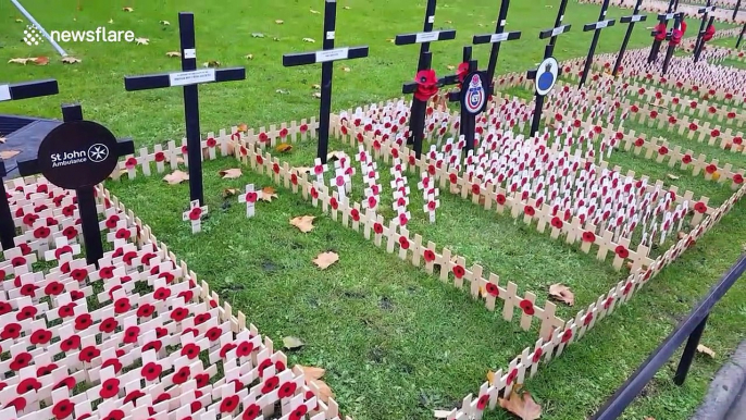 Volunteers place tributes at the Field of Remembrance at Westminster Abbey