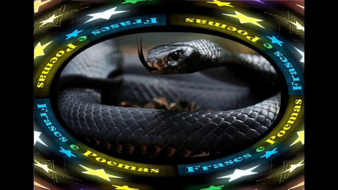 Fake friends are like snakes: They live hidden, have poison! [Quotes and Poems]