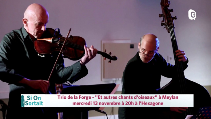 12 NOVEMBRE 2019 - Catherine Ringer chante Les Ritas Mitsouko, Trio de la Forge "Et d'autres chants d'oiseaux", Picasso au cœur des ténèbres