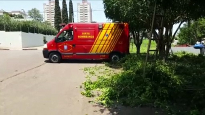 Homem sofre queda de três metros enquanto cortava galhos de árvore