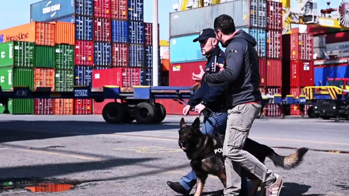 Livorno - I Cani antidroga della Polizia di Stato (09.12.19)