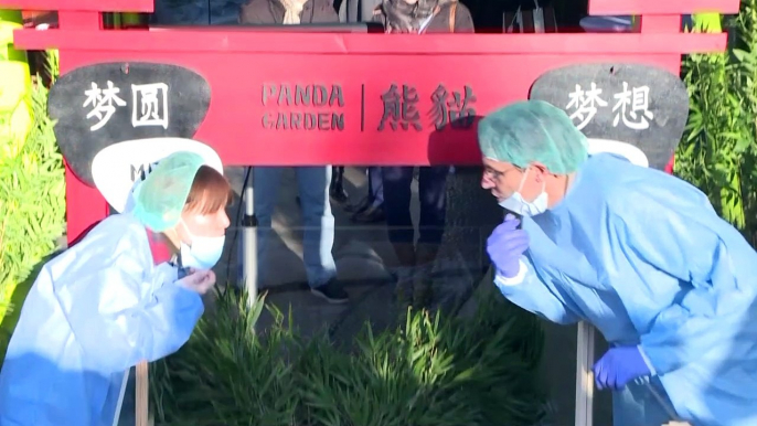 Les deux pandas du zoo de Berlin baptisés Meng Yuan et Meng Xiang