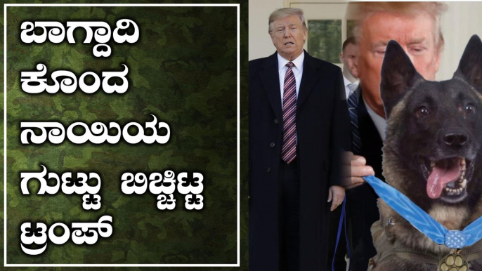 ನಾಯಿಯನ್ನು ವೈಟ್ ಹೌಸ್ ಗೆ ಕರೆಸಿ ವಿಶೇಷ ಆತಿಥ್ಯ ನೀಡಿದ ಟ್ರಂಪ್ | Oneindia kannada