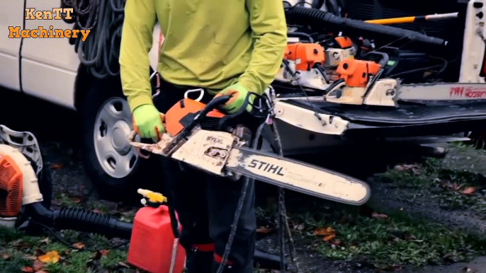 Dangerous Cutting Big Tree ChainSaw Machines - Extreme Skilll Tree Removal Pine in a Tight Spot