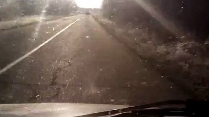 Ostrich Runs Along Car on Road