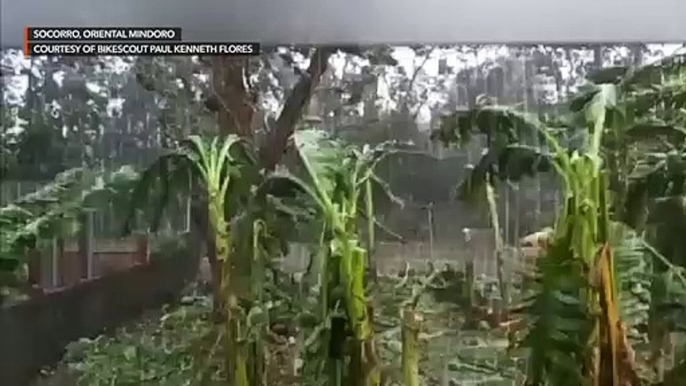 Typhoon Tisoy unleashes strong winds, heavy rain in Oriental Mindoro