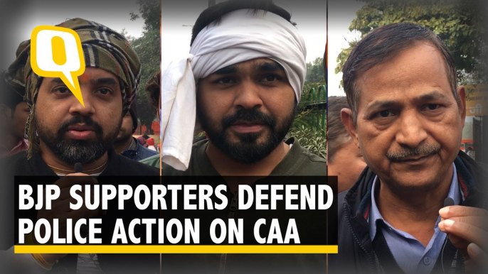 'CAA-NRC Protesters Defaming India': BJP Supporters Defend Police Action