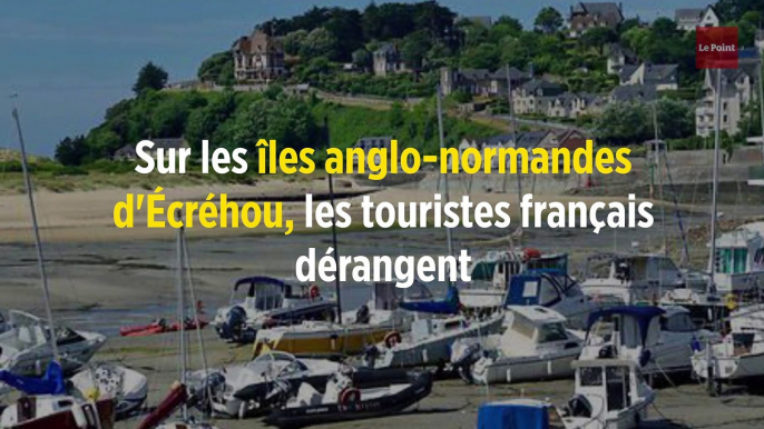 Sur les îles anglo-normandes d'Écréhou, les touristes français dérangent