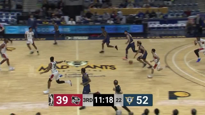 Alize Johnson (19 points) Highlights vs. Erie BayHawks