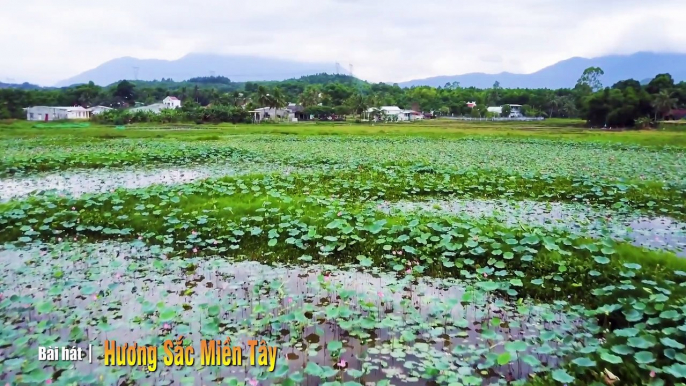 HƯƠNG SẮC MIỀN TÂY - ĐỨC TÀI | nhạc trữ tình | nhạc quê hương | nhạc bolero | huong sac mien tay duc