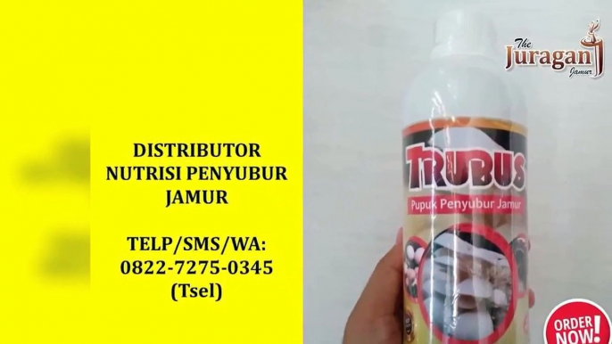 DISKON! TELP/SMS/WA : 0822-7275-0345 (Tsel), Distributor Nutrisi Perangsang Tumbuh Jamur Tiram Bali,