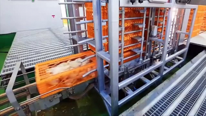 World Amazing Automatic Food Processing Machines Modern Food Processing Technology | Modern Ultra Chicken Meat Processing Factory, Amazing Food Processing Machines 2020  | Modern Food Processing Technology with Cool Automatic Machines 2020