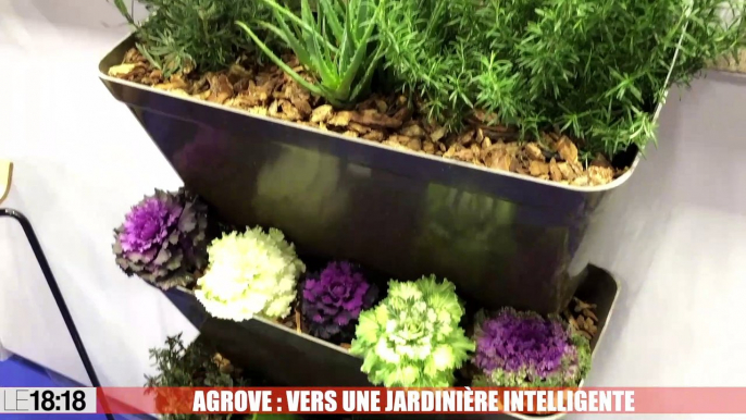 CES de Las Vegas : Agrove, une jardinière connectée made in Aix-en-Provence