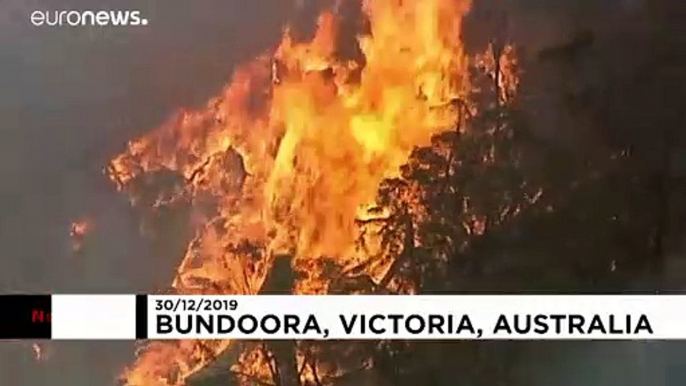 Australian firefighters battle bushfires in suburban Melbourne