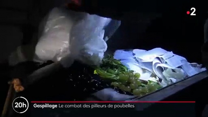 Ils traquent les invendus alimentaires dans les poubelles des supermarchés et trouvent des produits encore consommables ! - VIDEO