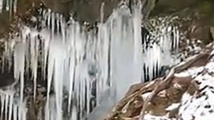 Une cascade entièrement prise dans les glaces : magnifique