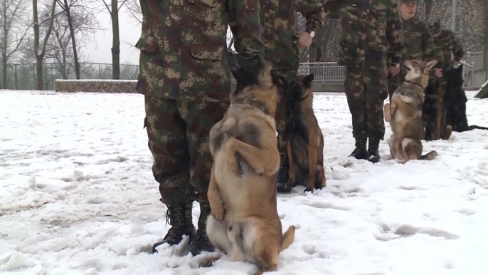 China’s PLA Rocket Force recruits ‘dog soldiers’