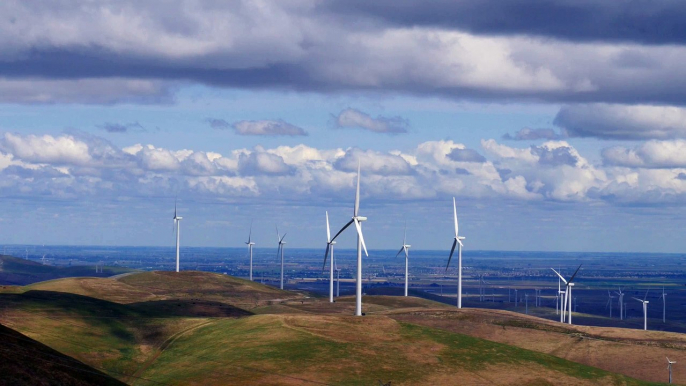 Beautiful View of Wind Turbines Producing Electricity