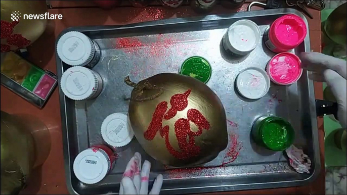 Vietnamese people paint coconuts with gold and traditional symbols for lunar new year