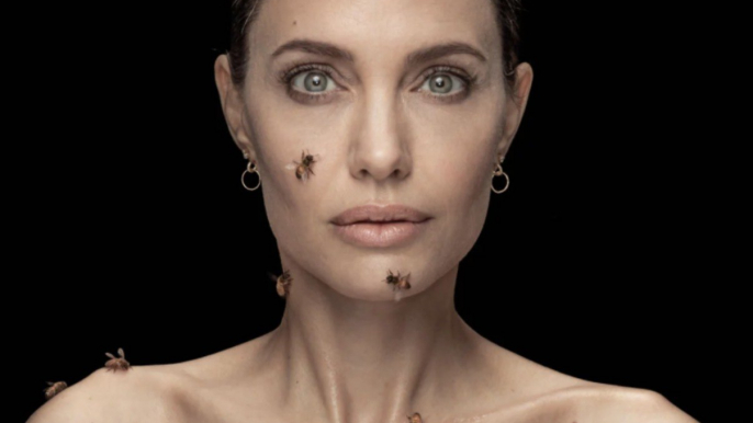 Angelina Jolie Covered Herself in Bees to Raise Awareness For Conservation Efforts