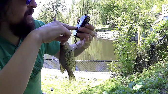 Megascorcher Fishing #9 - Crappie Day