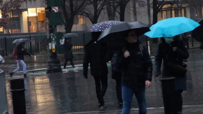 The evolution of umbrellas