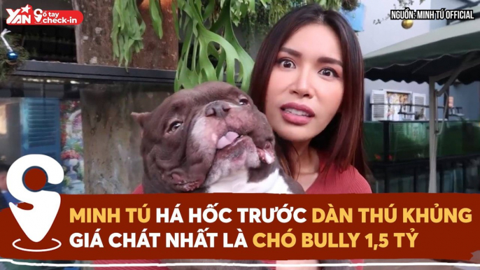 SỔ TAY CHECK IN II MINH TÚ HÁ HỐC TRƯỚC DÀN THÚ KHỦNG GIÁ CHÁT NHẤT LÀ CHÓ BULLY 1,5 TỶ