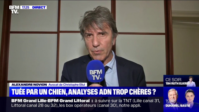 Pour l'avocat de Christophe Ellul, les morsures sur le corps d'Elisa Pilarski sont "compatibles avec l'attaque de plusieurs chiens"