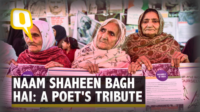 Naam Shaheen Bagh Hai: An Ode to the Protesters Who Sparked a Nationwide Movement | The Quint