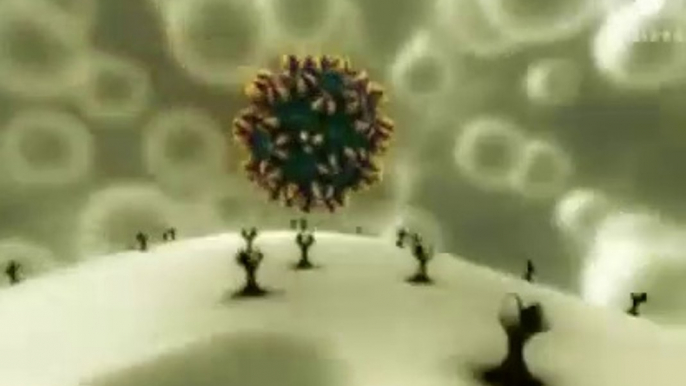 VIRUS ``EL ORIGEN´´  CORONAVIRUS - COVID-19 - VIRUS - PANDEMIAS  - DOCUMENTALES INTERESANTES ,documental, documental historia,documentales,documentales en español, documentales gratis,DOCUMENTALES HD,DOCUMENTALES ONLINE,GRANDES DOCUMENTALES