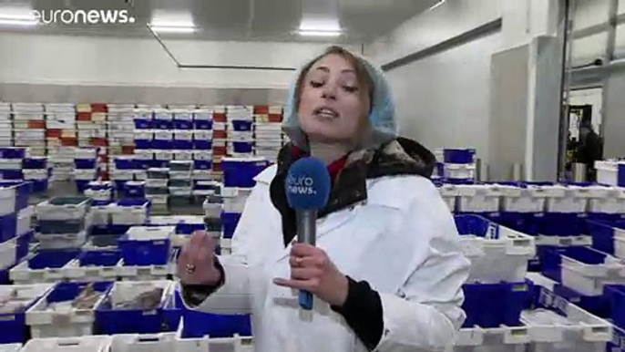 La pesca se convierte en uno de los grandes escollos de las negociaciones post-Brexit