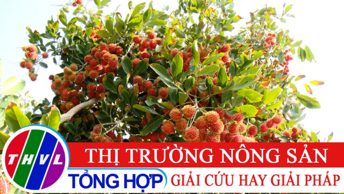 Chuyên đề kinh tế: Thị trường nông sản - Giải cứu hay giải pháp