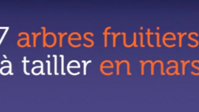 7 arbres fruitiers à tailler en mars