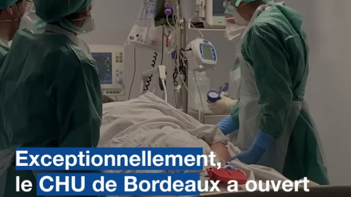 Coronavirus à Bordeaux : Au coeur de l'unité Covid-19, au service réanimation du CHU Pellegrin