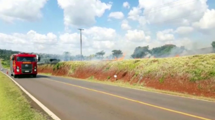 Bombeiros combatem incêndio às margens da BR-277, na Região do Turisparque