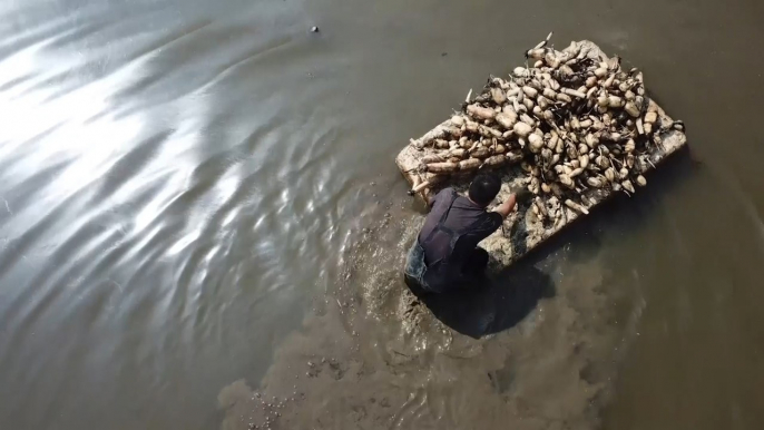 Lotus root farmers trying to survive after losing crops to coronavirus lockdown in Wuhan, China