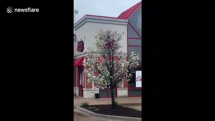 Workers at Illinois Arby's strike, demanding hazard pay and protective equipment amid coronavirus outbreak