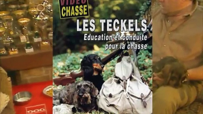 Les teckels : Education et conduite pour la chasse