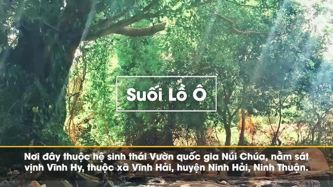 Có một Ninh Thuận đẹp như giấc mơ khiến bao đôi mắt phải ngẩn ngơ đắm chìm