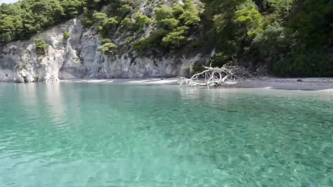 Musica para Relaxar e Meditar com Sons da Natureza