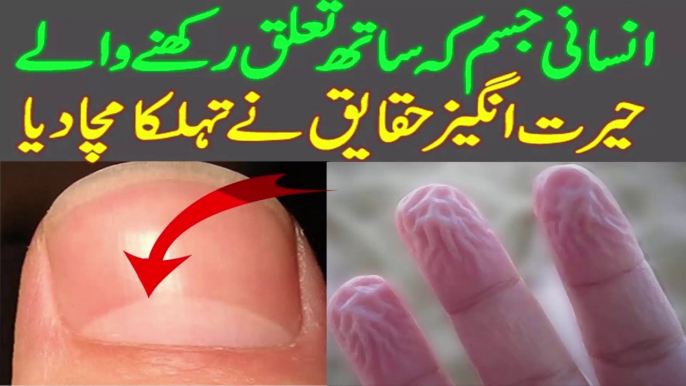 Unknown Facts About Human Body | Interesting Facts About Human Body in Urdu_hindi | facts about human body,human body facts,human body,unknown facts about human body,interesting facts about human body,unknown facts,amazing facts about human body