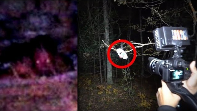 5 Scary Forest Encounters YouTubers Caught on Tape