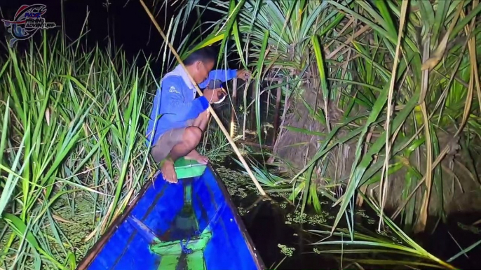 Pesta Ikan Monster Harus Berakhir Akibat Dicegat Makhluk Beracun Sungai Wakanda