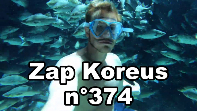 Zap Koreus n°374